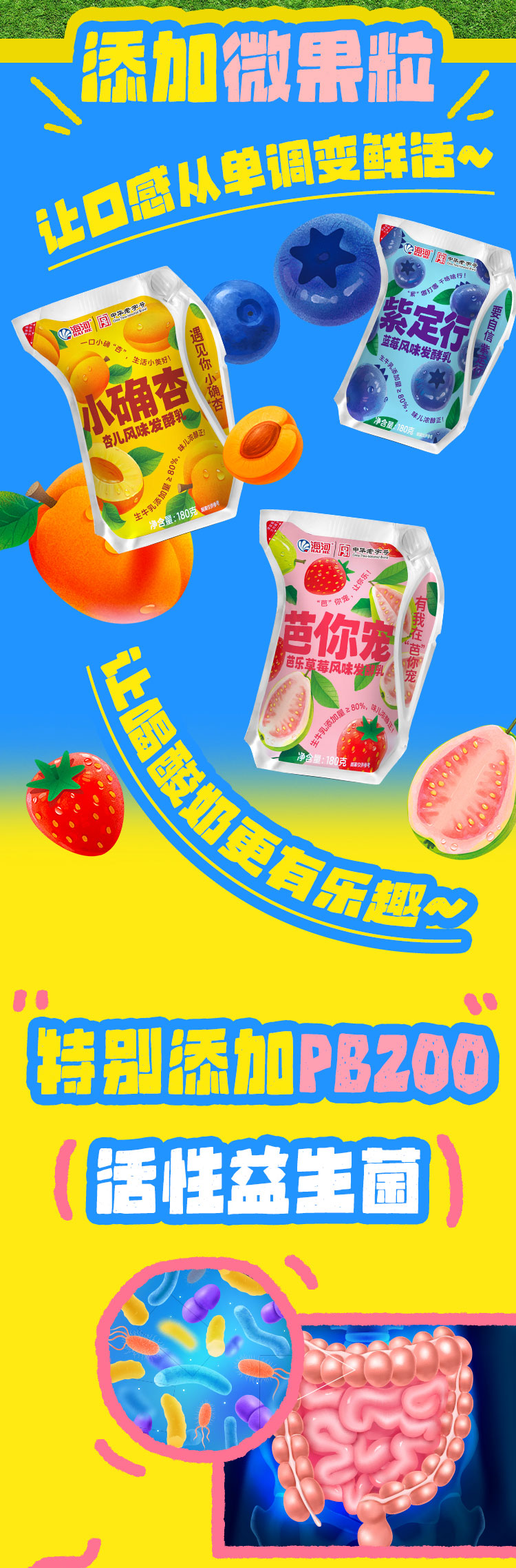 奶皮子酸奶-拷贝_02.jpg