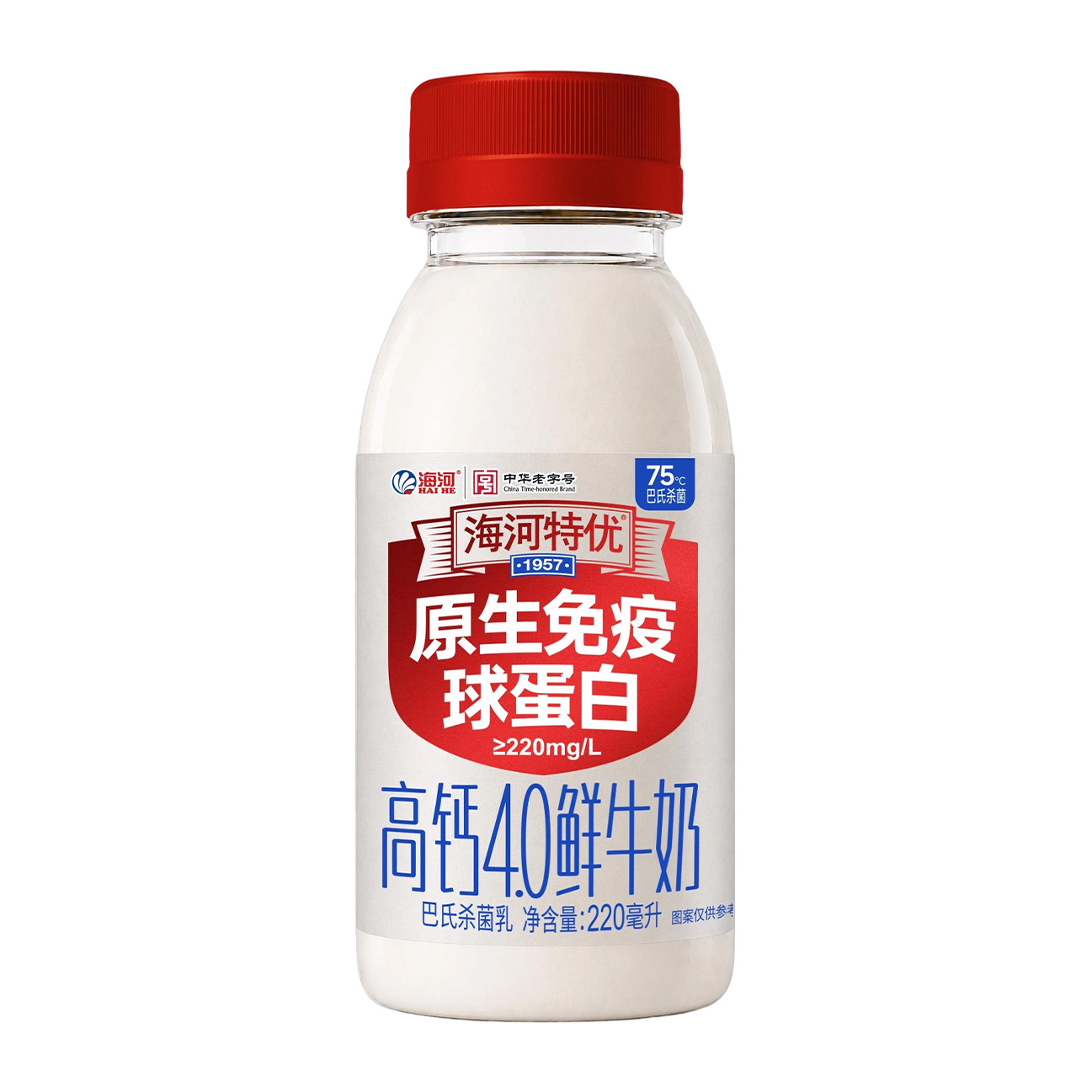 正.jpg